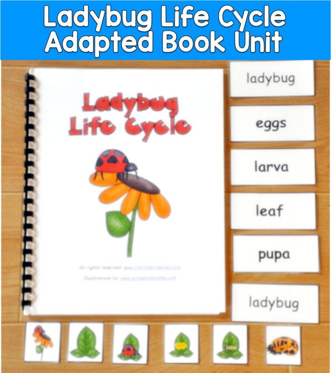 Ladybug Life Cycle Adapted Book | Science Vocabulary | SLP SPED Autism PreK