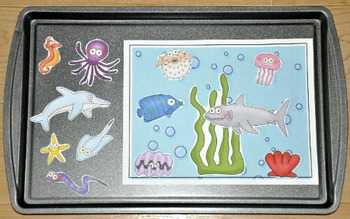 Ocean Cookie Sheet Activities