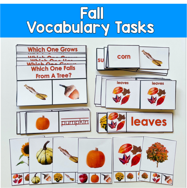 Fall Vocabulary Task Boxes with Real Photos | Speech Therapy SPED Autism