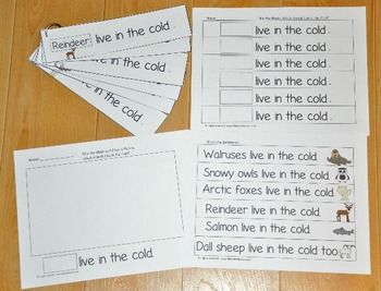 Winter Fluency Activities II