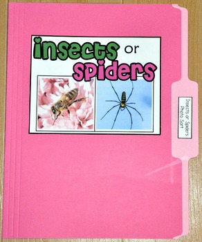 Sorting Activity: "Insects or Spiders Sort File Folder Game"