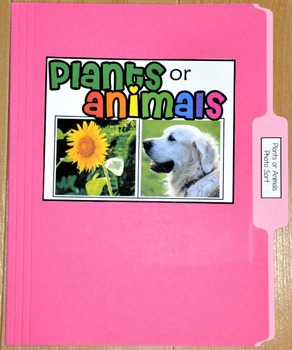 Sorting Activity: "Plants or Animals Sort File Folder Game"