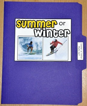 Sorting Activity: "Summer or Winter Sort File Folder Game"