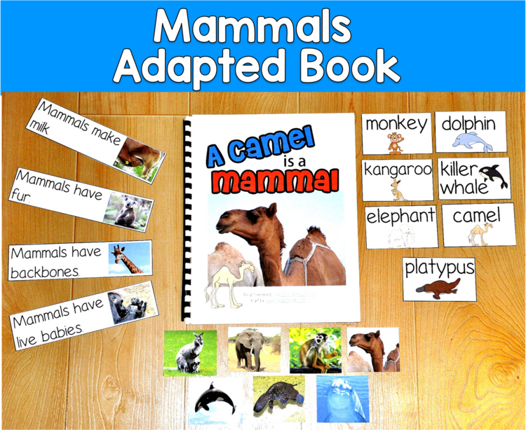 Mammals Adapted Book Real Photos | Reading & Vocabulary | SLP SPED Autism PreK