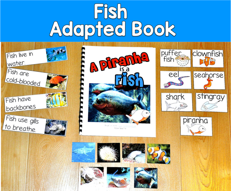 Fish Adapted Book Real Photos | Reading & Vocabulary | SLP SPED Autism PreK OT