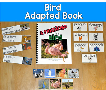 Birds Adapted Book with Real Photos | Bird Attributes | SLP SPED Autism