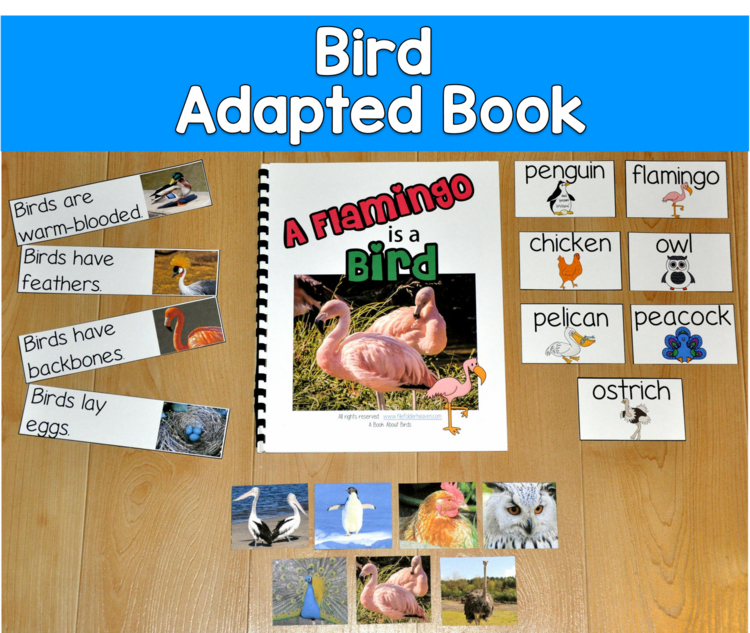 Birds Adapted Book with Real Photos | Bird Attributes | SLP SPED Autism