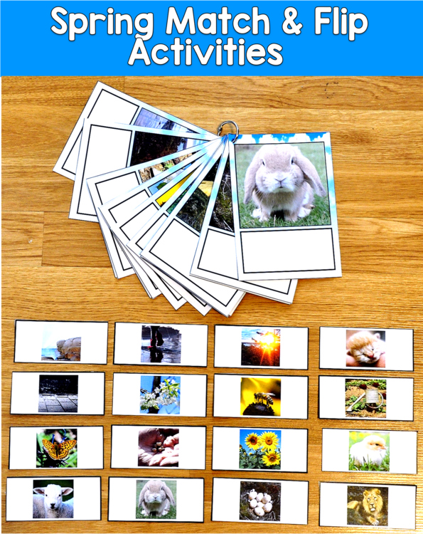 Spring Match and Flip Books Real Photos | 3 Level Differentiated | SLP SPED OT