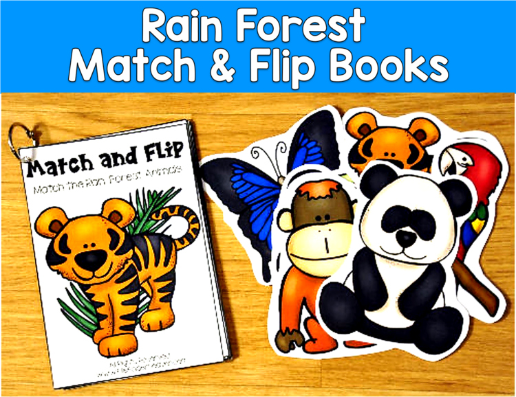 Matching Activities:  Rain Forest Match and Flip Books