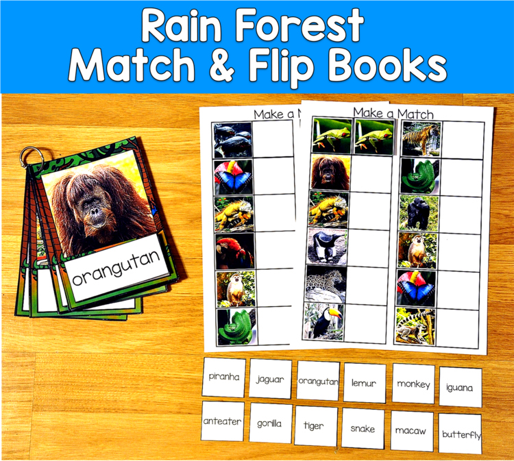 Rain Forest Match and Flip Books Real Photos | Picture Word Sentence | SLP SPED