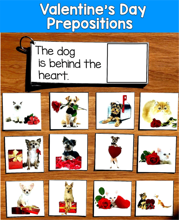 Valentine's Day Prepositions & Matching Real Photos | 3 Levels | SLP SPED