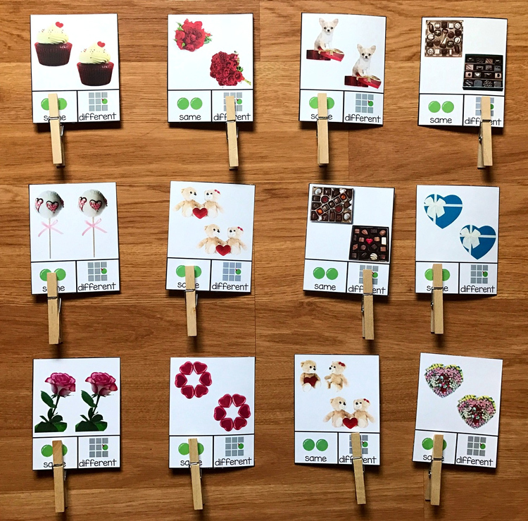 Valentine's Day Same or Different Task Cards (w/Real Photos)