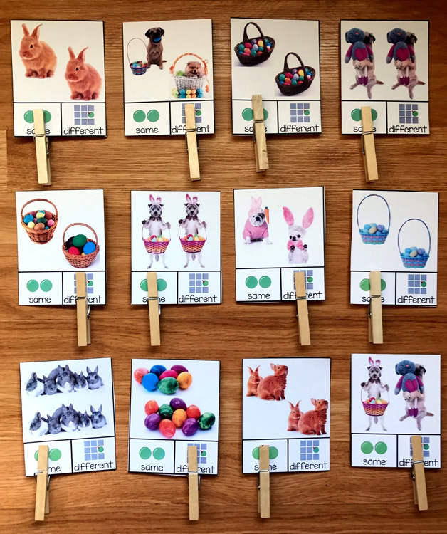 Easter Same/Different Task Cards (w/Real Photos)
