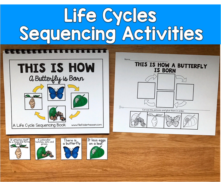 Life Cycle Sequencing Activities | Adapted Books | SPED Science Centers
