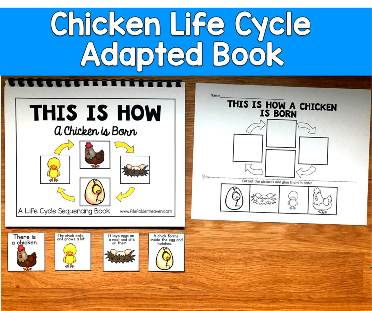 Chicken Life Cycle Adapted Book | Spring Sequencing | SLP SPED Autism