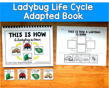 Ladybug Life Cycle Adapted Book | Spring Sequencing | SLP SPED Autism