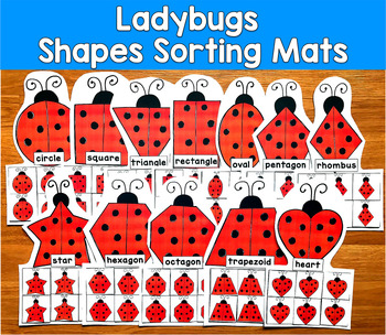 Ladybug Shape Sorting Mats | 2D Shapes Spring | SLP SPED Autism PreK Centers