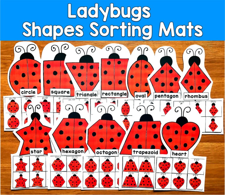 Ladybug Shape Sorting Mats | 2D Shapes Spring | SLP SPED Autism PreK Centers