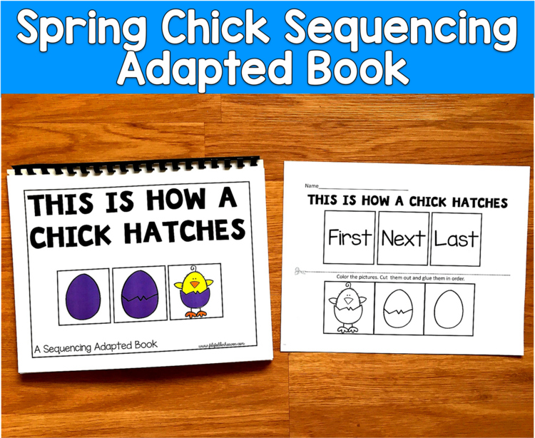 Spring Chick Sequencing Adapted Book | Life Cycle Colors | SLP SPED Autism PreK