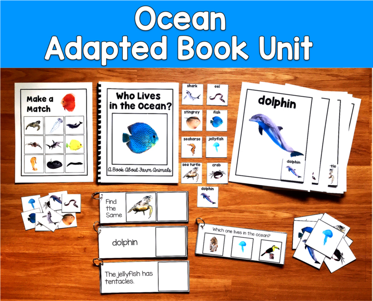 Ocean Adapted Book Unit Real Photos | Wh Questions Vocabulary | SLP SPED Autism