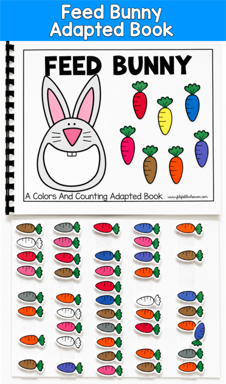 Feed Bunny Adapted Book | Colors Counting Number Words | SLP SPED Autism PreK