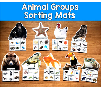 Animal Groups Sorting Mats with Real Photos | Classification | SLP SPED Autism