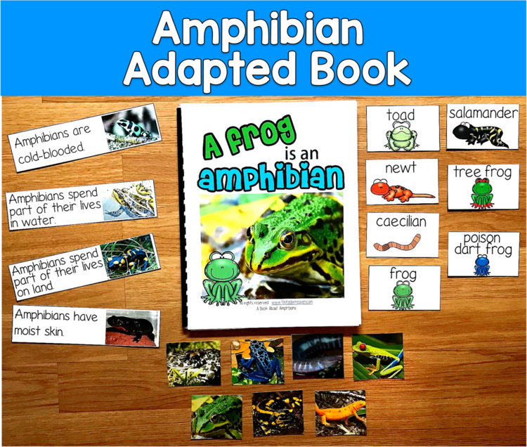 Amphibians Adapted Book | Real Photos Animal Groups | Reading SLP SPED Autism