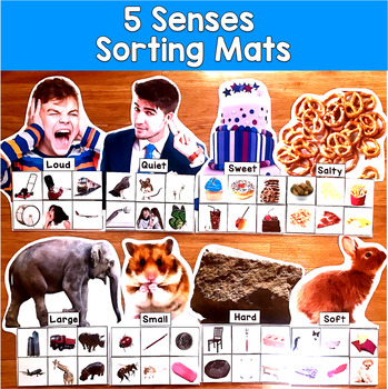 5 Senses Sorting Mats | Science Real Photos Sight Touch Sound | SLP SPED Autism
