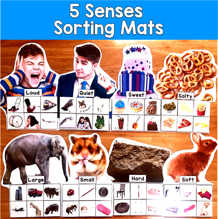 5 Senses Sorting Mats | Science Real Photos Sight Touch Sound | SLP SPED Autism