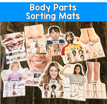 Body Parts Sorting Mats (w/Real Photos)