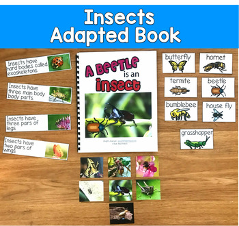 Insects Adapted Book | Real Photos Animal Groups | Reading SLP SPED Autism PreK