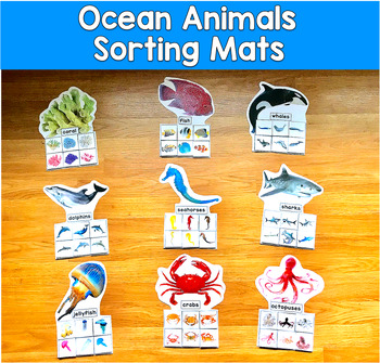 Ocean Animals Sorting Mats Real Photos | Habitat Vocabulary | SLP SPED Autism