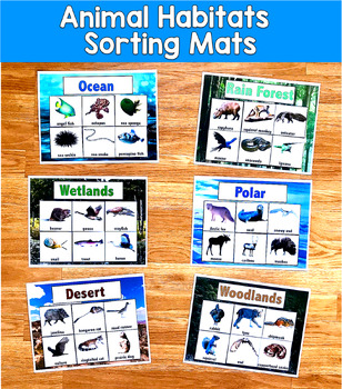 Animal Habitats Sorting Real Photos | 6 Habitats 2 Levels | SLP SPED Autism