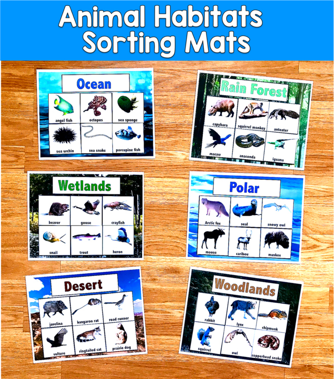 Animal Habitats Sorting Real Photos | 6 Habitats 2 Levels | SLP SPED Autism