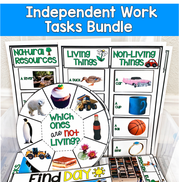 Science Tasks with Real Photos | Independent Work Tasks | SPED Autism