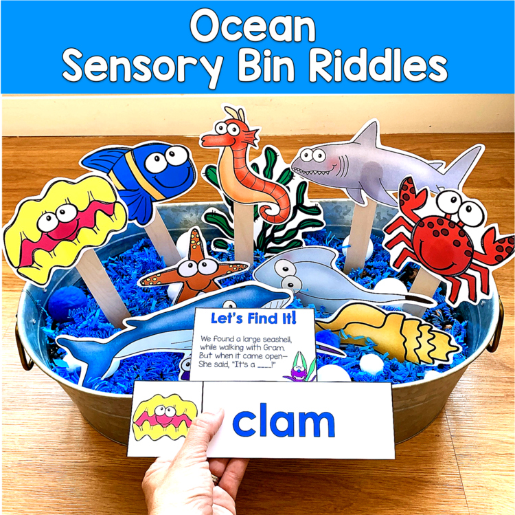 Ocean Sensory Bin Riddles | Hey Riddle Riddle Inferencing | SLP SPED Autism