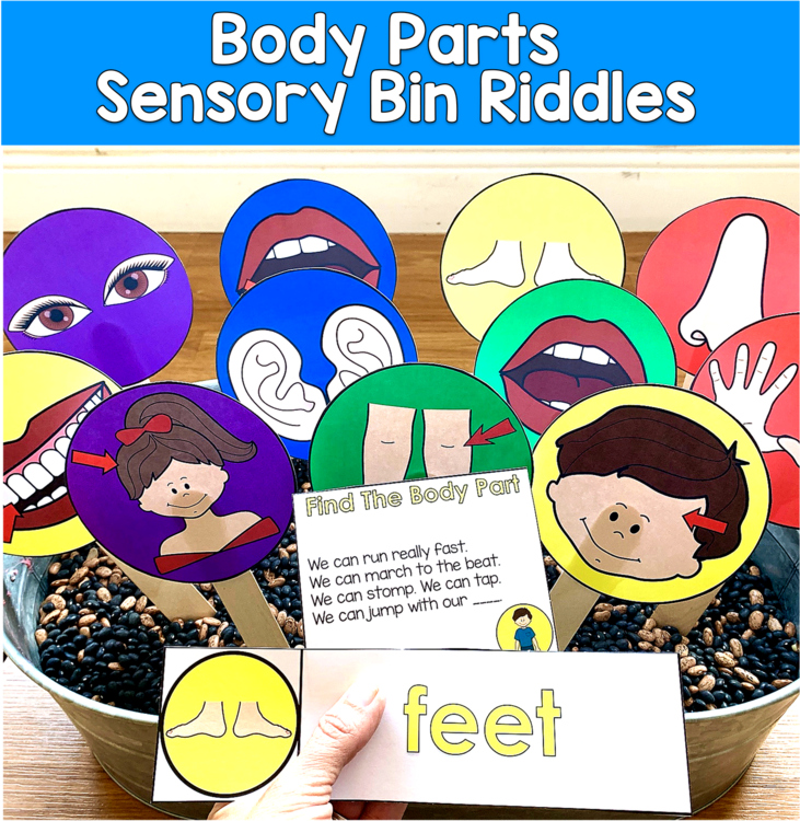 Body Parts Sensory Bin Riddles | Hey Riddle Riddle Inferencing | SLP SPED Autism