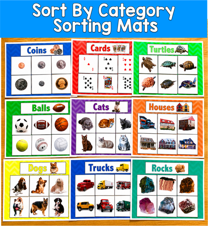 Sorting by Category Mats Set 2 Real Photos | Categorizing | SLP SPED Autism