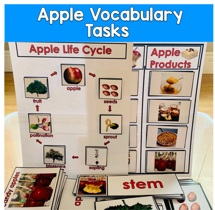 Apple Vocabulary Task Boxes with Real Photos | Life Cycle | SLP SPED Autism