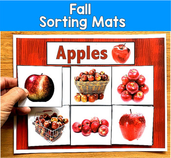 Fall Sort by Category Mats Real Photos | Sorting & Vocabulary | SLP SPED Autism