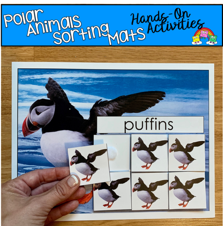 Polar Animals Sorting Mats (With Real Photos)