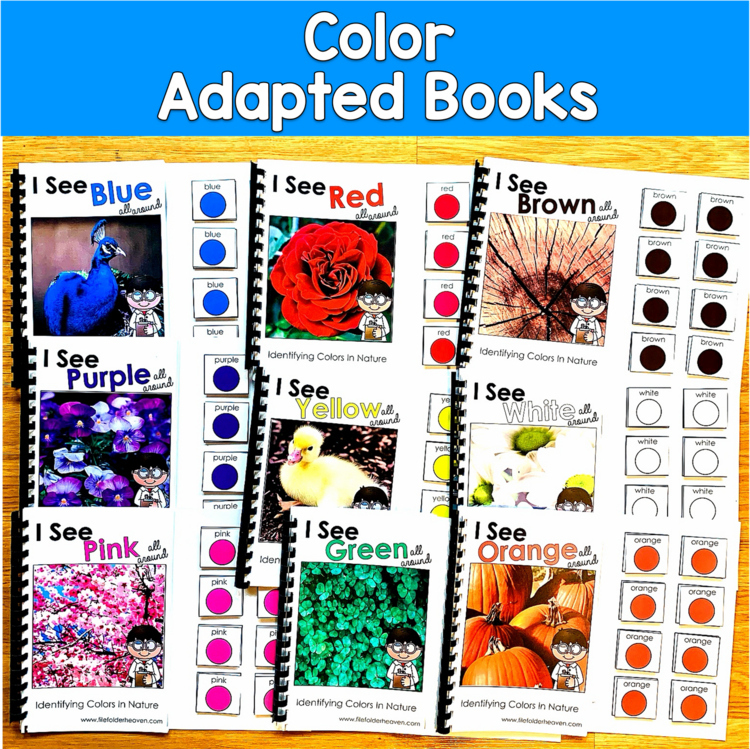 Color Adapted Books Real Photos | 11 Books Color Words | SLP SPED Autism PreK