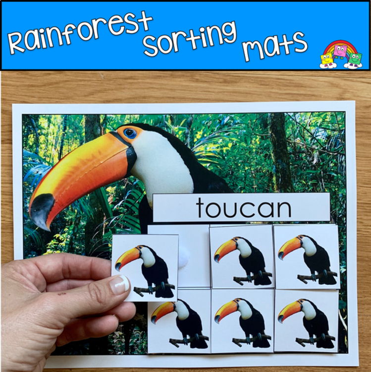Rain Forest Animals Sorting Mats (With Real Photos)