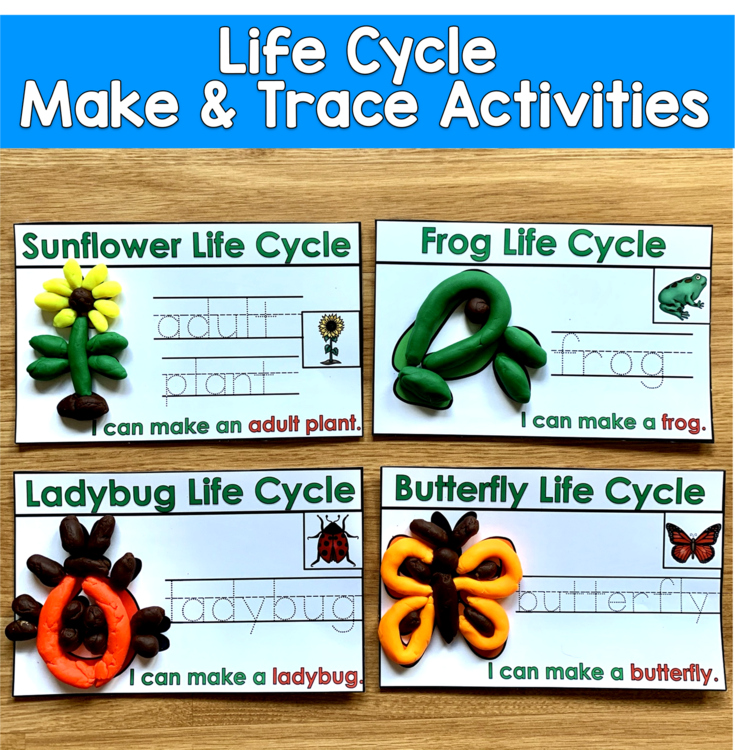 Life Cycles Fine Motor Activity | Trace & Make Mats | Science Special Ed