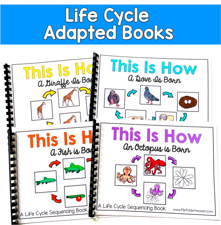 Life Cycle Adapted Books Bundle | 12 Animals Sequencing | SLP SPED Autism