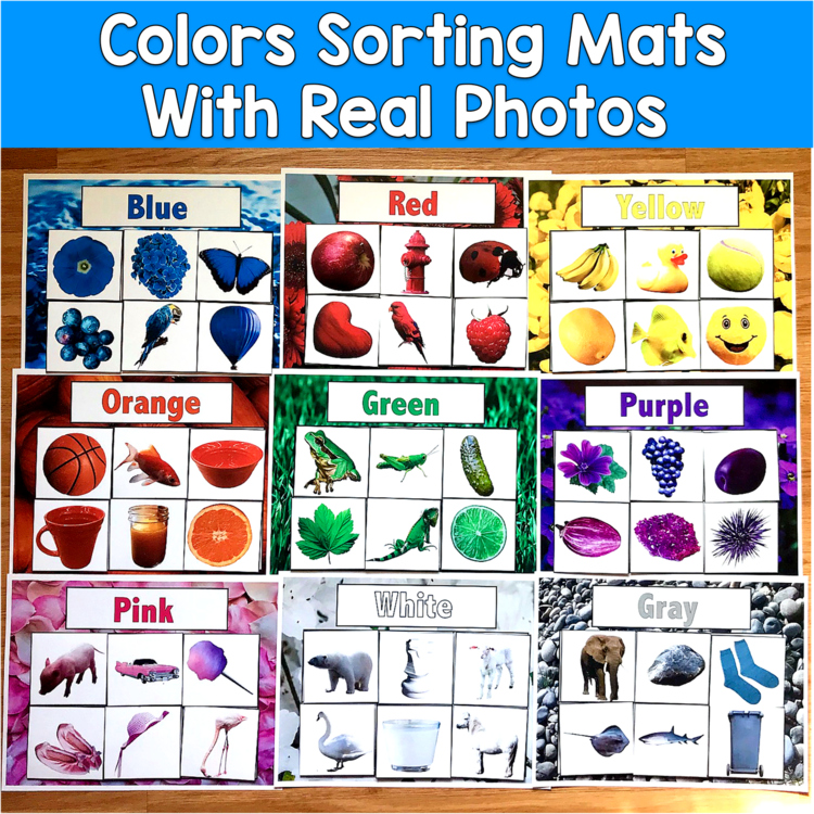 Color Sorting Mats Real Photos | Colors Vocabulary 11 Mats | SLP SPED Autism