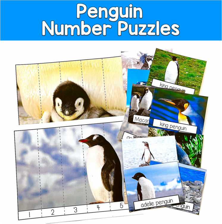 Penguin Number Puzzles | Real Photos Counting 1-10 | Winter SPED Autism PreK