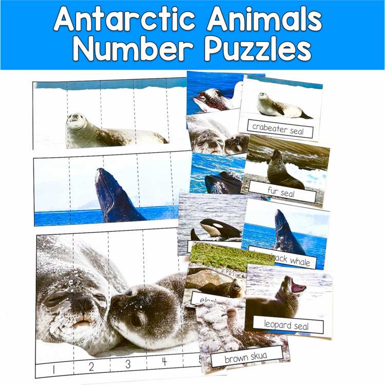 Antarctic Animals Number Puzzles | Real Photos Counting 1-10 | SPED Autism PreK