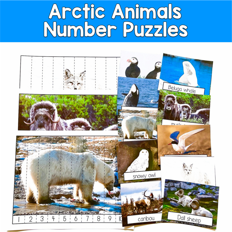 Arctic Animals Number Puzzles Real Photos | Sequencing 1-10 | Winter SPED Autism