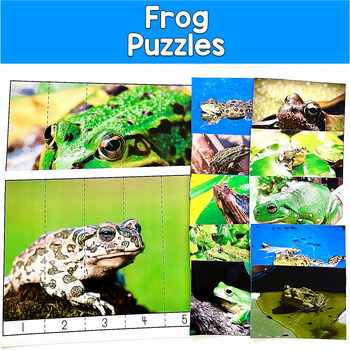 Frog Number Puzzles Real Photos | 15 Frogs 2 Levels | SLP SPED Autism Math